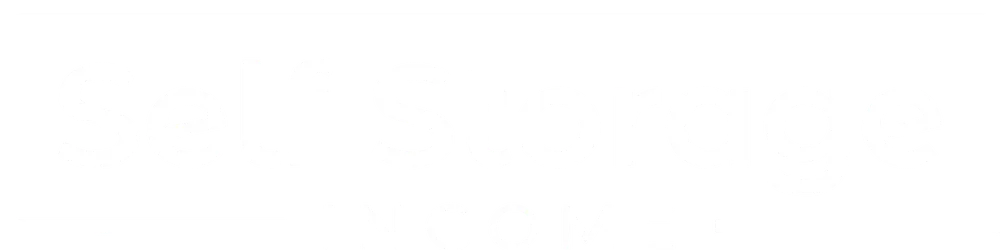 Self Storage Income